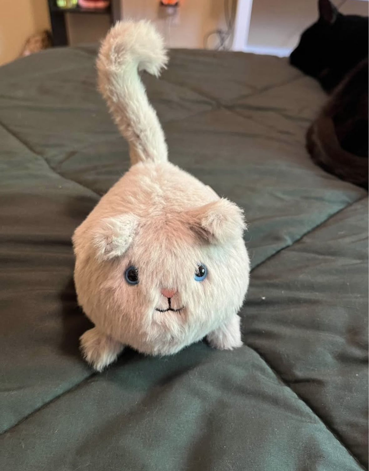 Grey Kitten Caboodle Jelly Cat