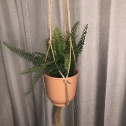 Boho Style Artificial Plant With Rope