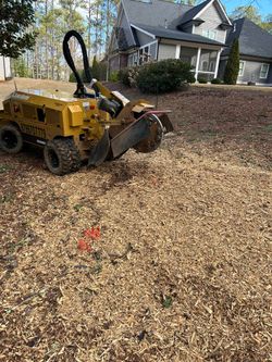 Stump Grinding 