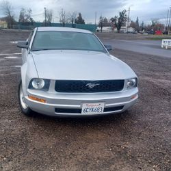 Selling  Mustang 