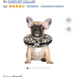 Small Dog Collar. 