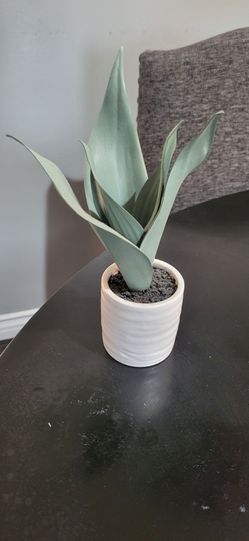 Decoration
