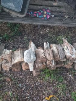 Pile of petrified wood