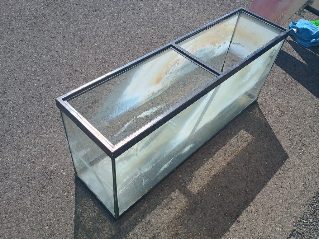 Fish Or Marine Tank