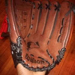 Kid Size Baseball Glove