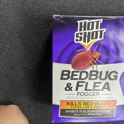 Bedbug Problem