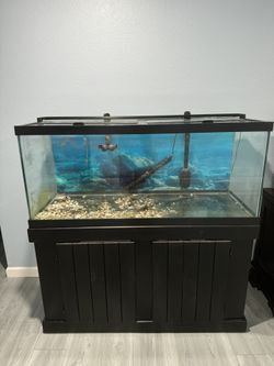 75gl Full Setup Aquarium Fish Tank Fx6 Filter