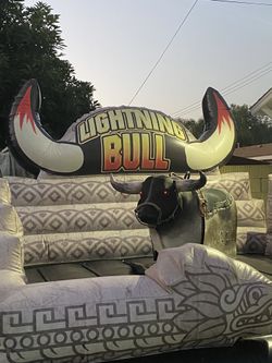 Toy Bull