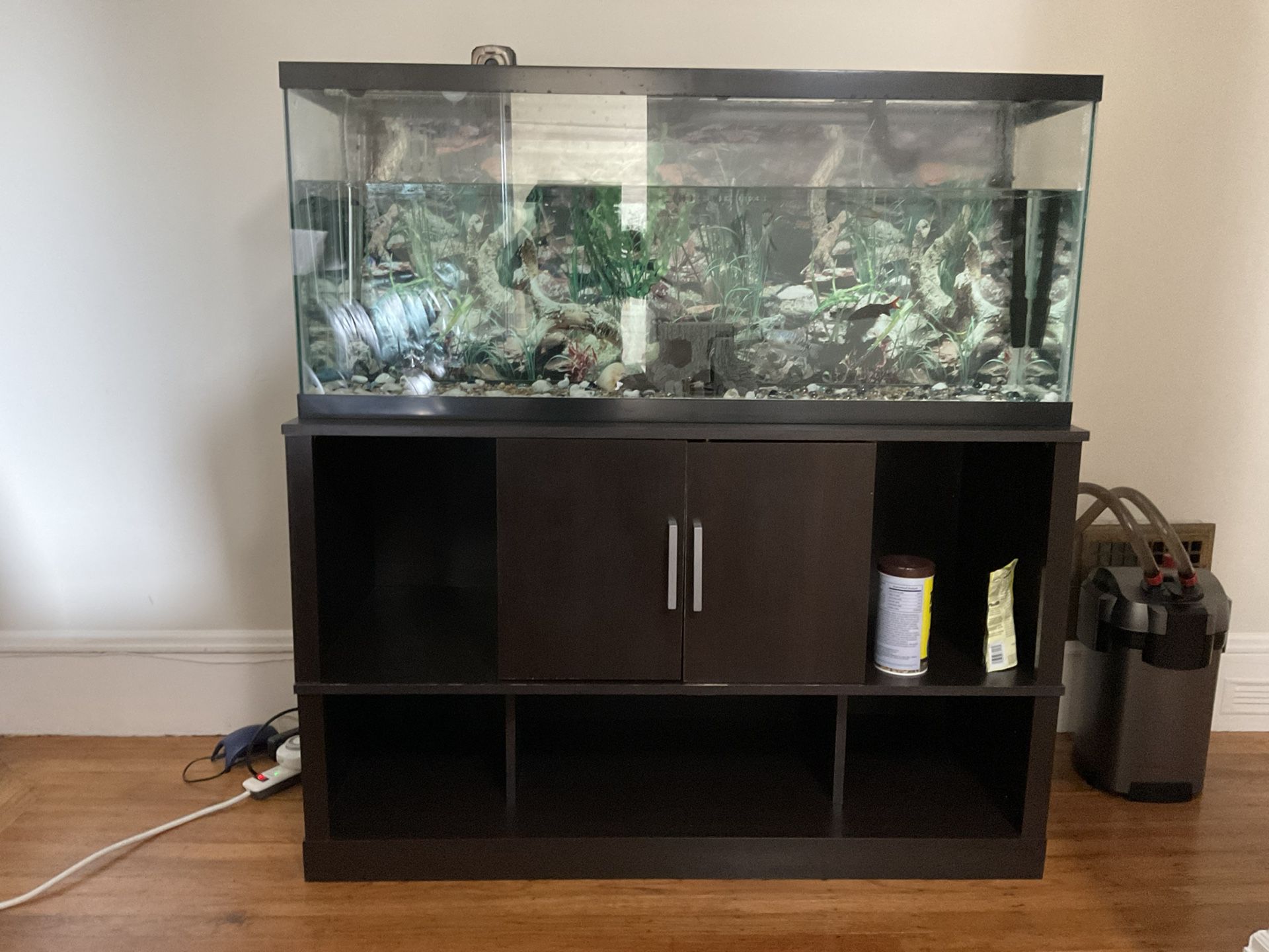Fish Tank Including Everything 