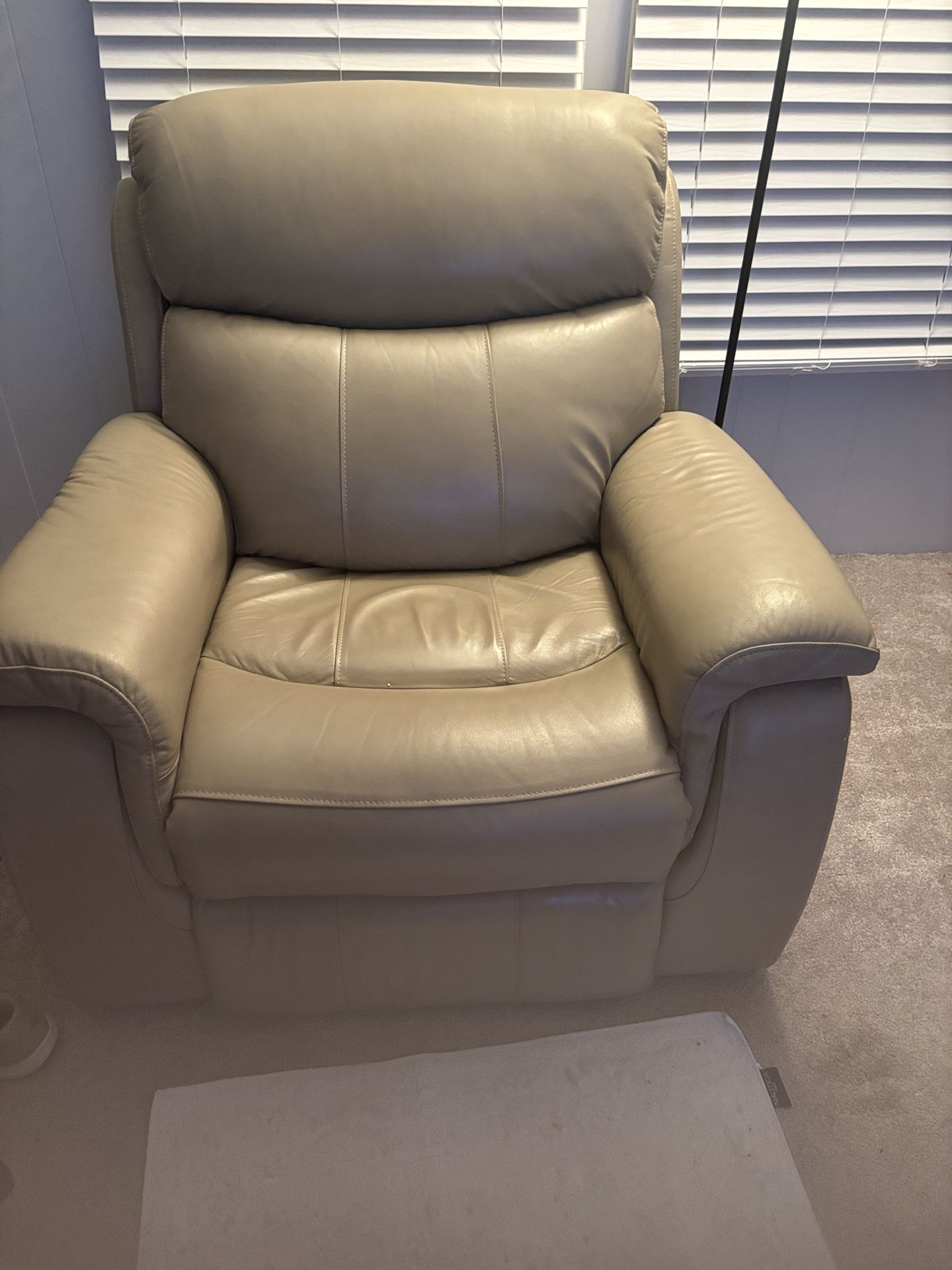 Power Recliner