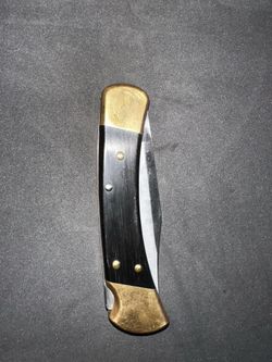 Buck 110 Folding Hunter Knife