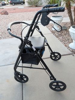 Adult Walker