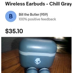 Skullcandy Indy Evo True Wireless Earbuds