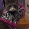 Mimi