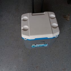 Igloo Cooler