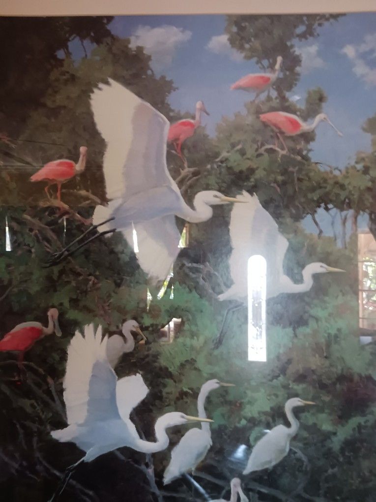 Flamencos Decoración