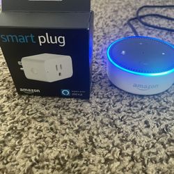 Amazon Echo Dot with New Smart Plug