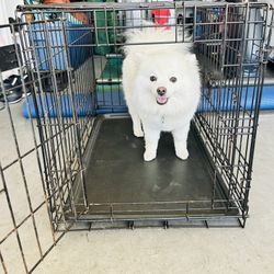 Dog Crate (small/med) 