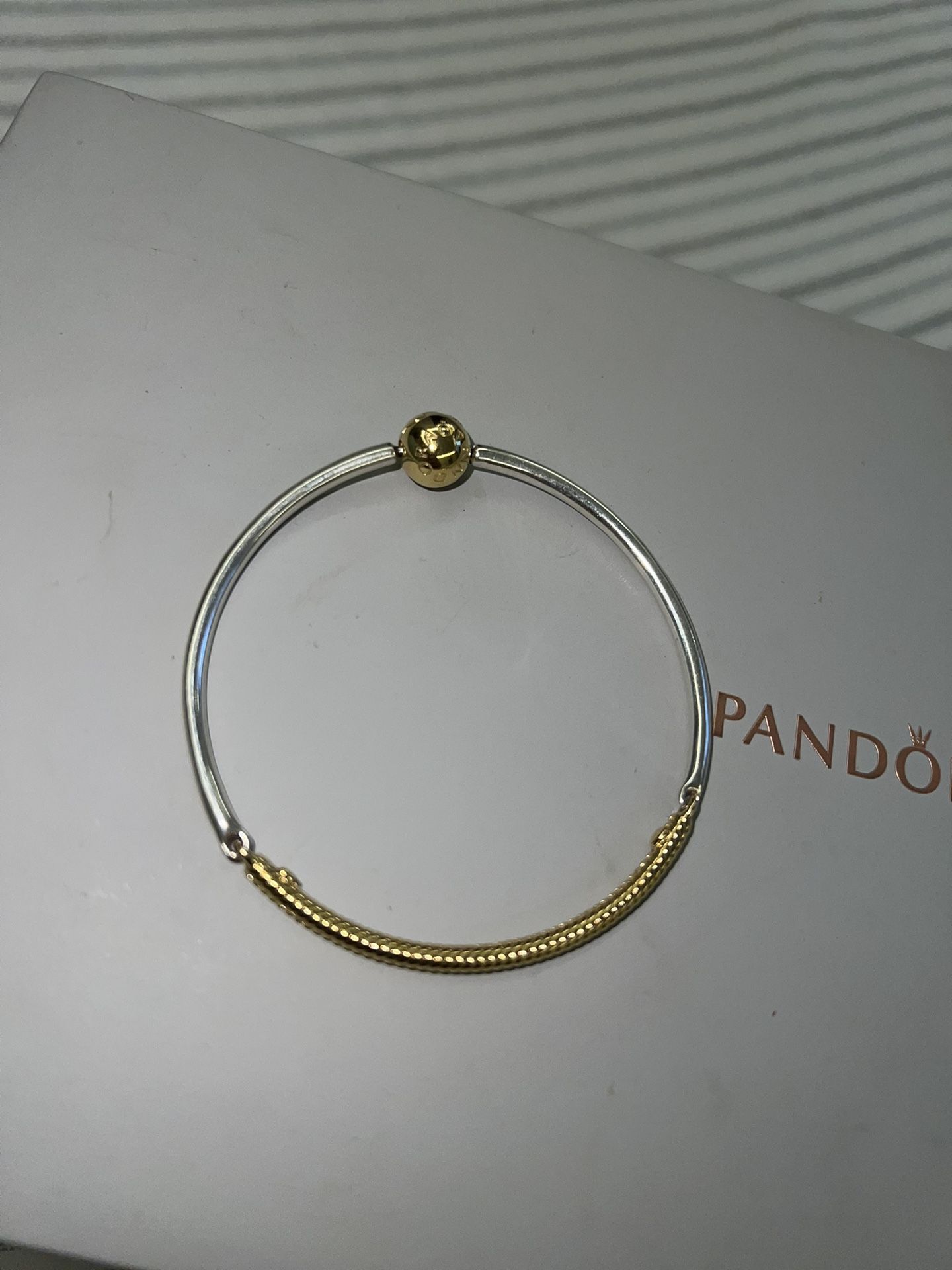 Bangle/Snake Chain Pandora Bracelet