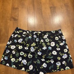 Woman’s Loft Short Size 10 Shipping Available 