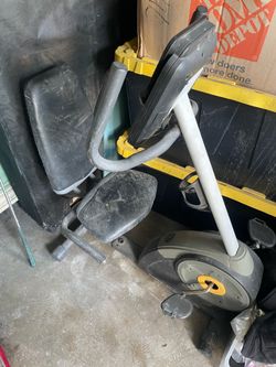 Golds gym bike