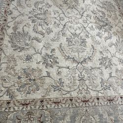 Carpet Area