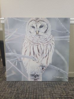 Large Owl Painting Print on Canvas