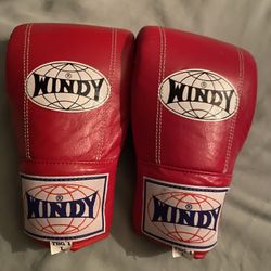 Windy TBG 1 L Gloves  Boxing MMA Thai Kickboxing $40