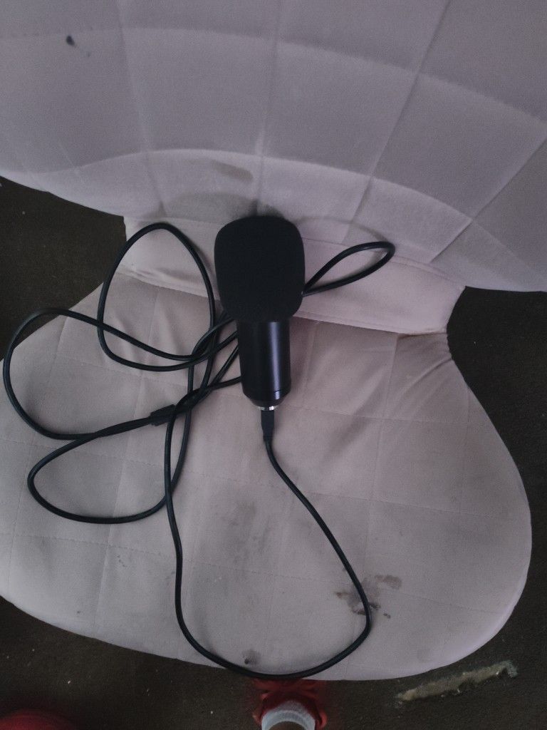 Microphone