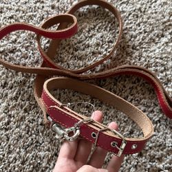 Collar And Leash Set