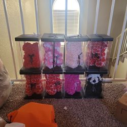 Rose Bear 