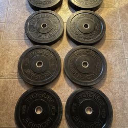 Rogue Hg 2.0 230lb Olympic Bumper Plate Set Weights 