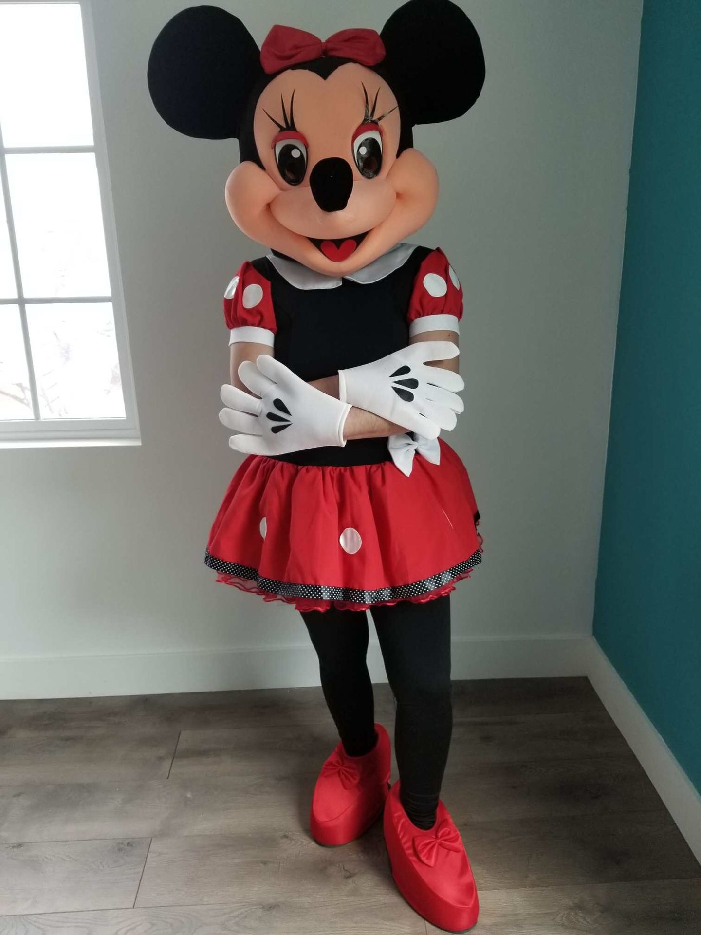 New Minnie Mouse Mascot Costume for Sale in Los Angeles, CA OfferUp