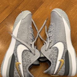Nike Zoom LeBron NXXT Gen Wolf Grey size 15 DR8784-004 Men's Mesh Athletic Sneakers