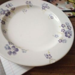 Martha Stewart Dinner Plates Forget Me Not 