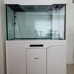 Large Fish / Aquarium Tank For Sale