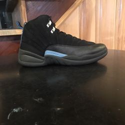Jordan 12 Nubuck Size 11.5