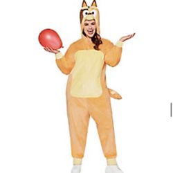 Family of 4 Bluey costumes