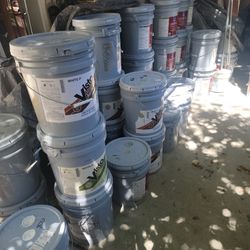 Paint