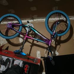 Girl Bike 