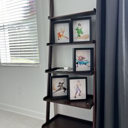 Book Shelves 