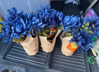 New tags fake blue flowers five dollars each