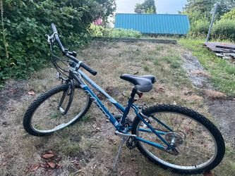 Giant-Boulder youth bike