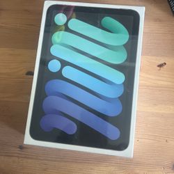 iPad Mini 6th Generation 