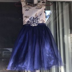 Girls Brand New  Dress Size 12