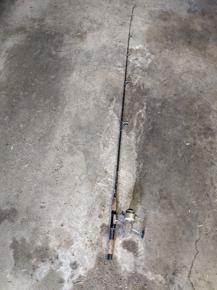 Rod And Reel Fishing Pole
