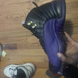 Jordan 12