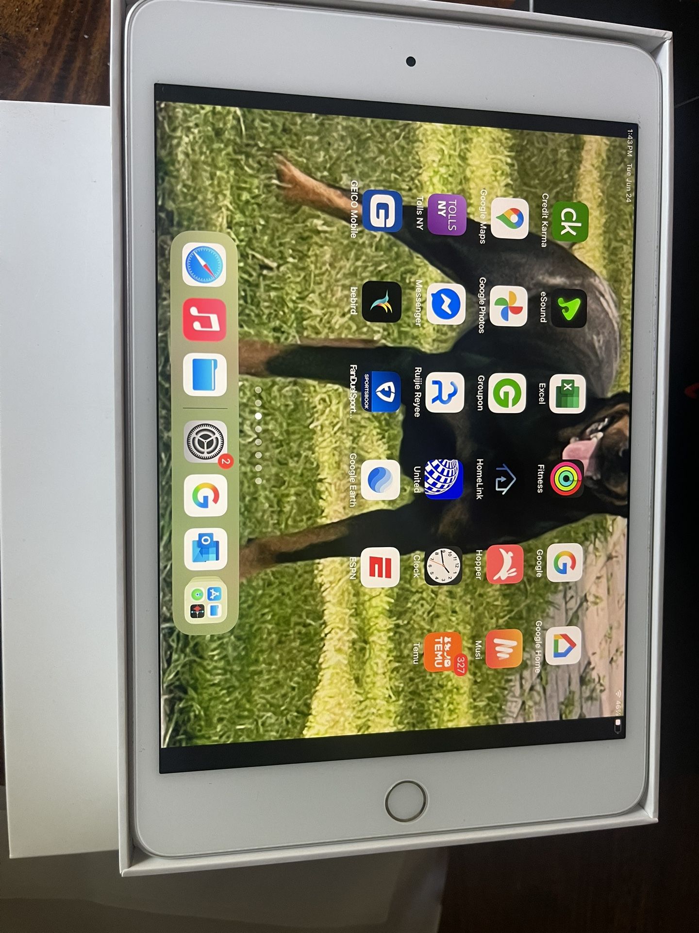 iPad Mini 64gb