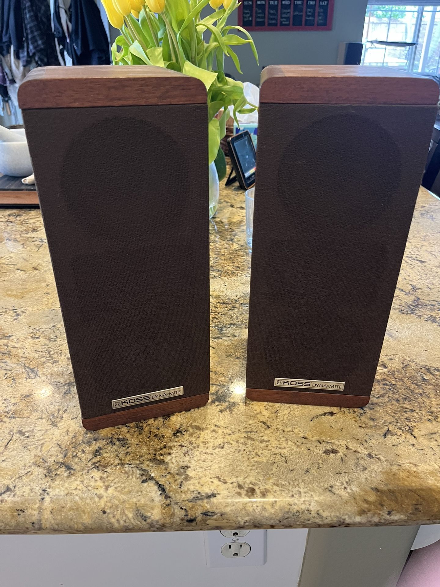 Koss M/80 Vintage Speakers