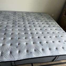 King mattress 10 inch and box spring 9 inch new